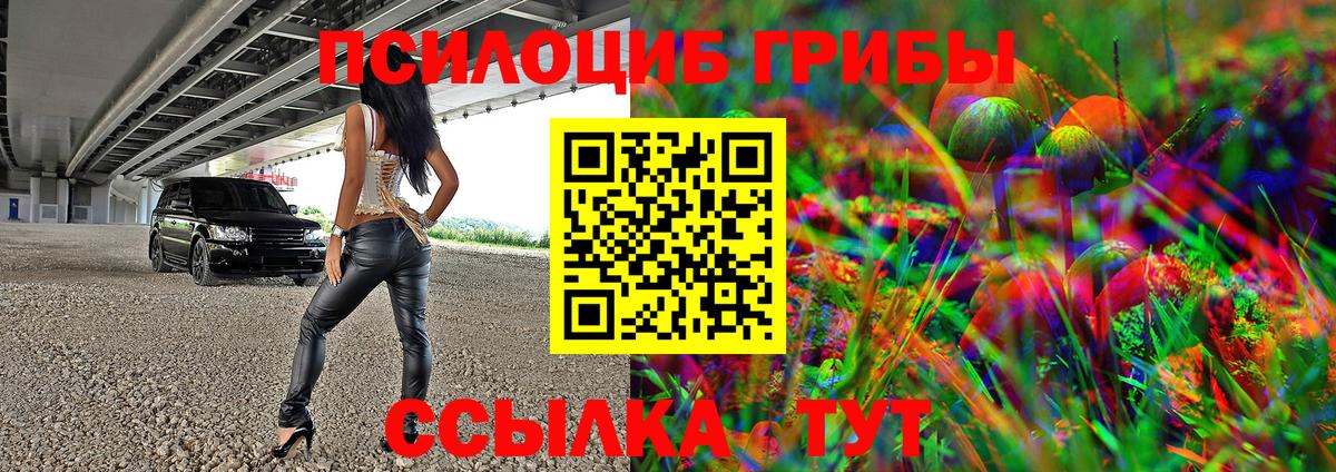 Галлюциногенные грибы Cubensis  Псилоцибиновые грибы мицелий  Борисоглебск  Вход с VPN 