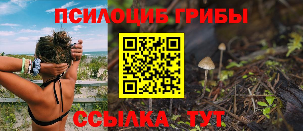 Псилоцибиновые грибы прущие грибы Борисоглебск
